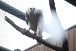 DSC_9219.JPG